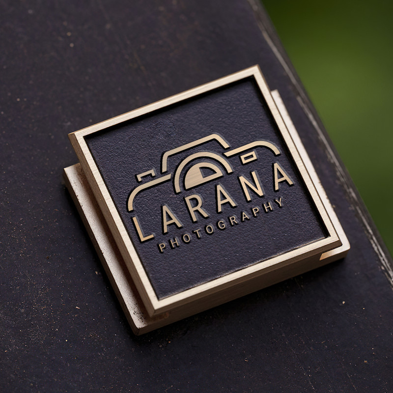 camera icon logo photography logo gift for photographer hot shoe cover PE00186