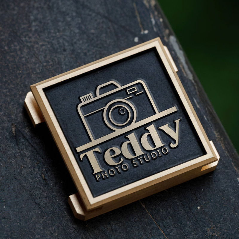 camera icon logo photography logo gift for photographer hot shoe cover PE00198