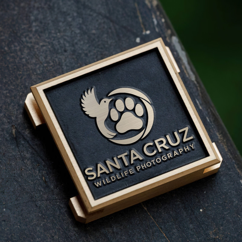 wildlife photography bird and bear icon logo gift for photographer hot shoe cover PE00225