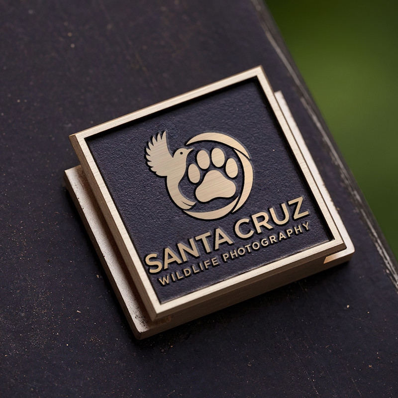 wildlife photography bird and bear icon logo gift for photographer hot shoe cover PE00225